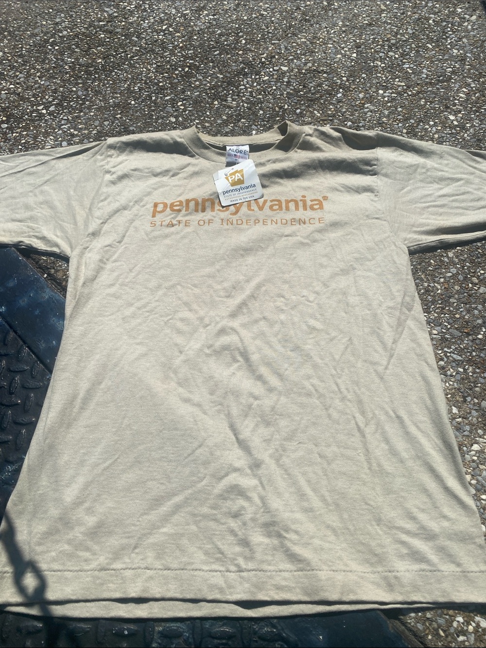 Pennsylvania State of Independence Men's Beige Graphic Tee